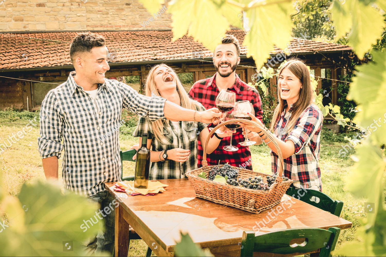 stockphotohappyfriendshavingfundrinkingwineatwineryvineyard