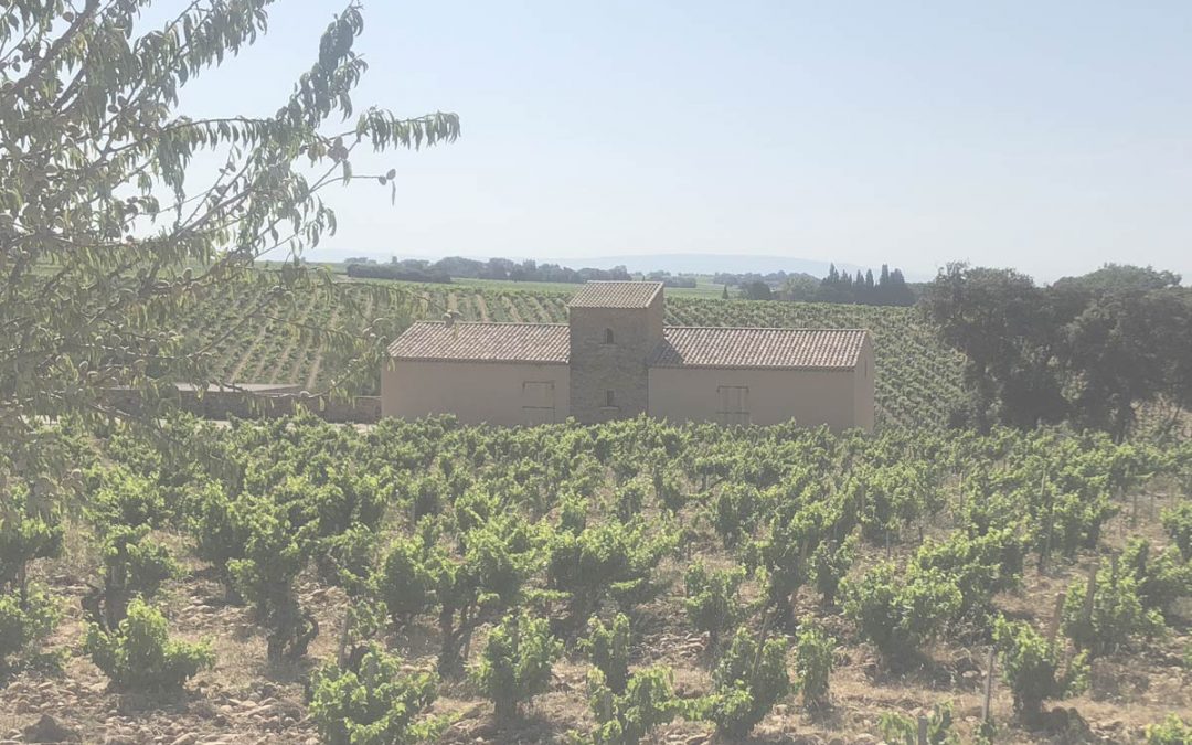 A Special Visit to Chateauneuf du Pape