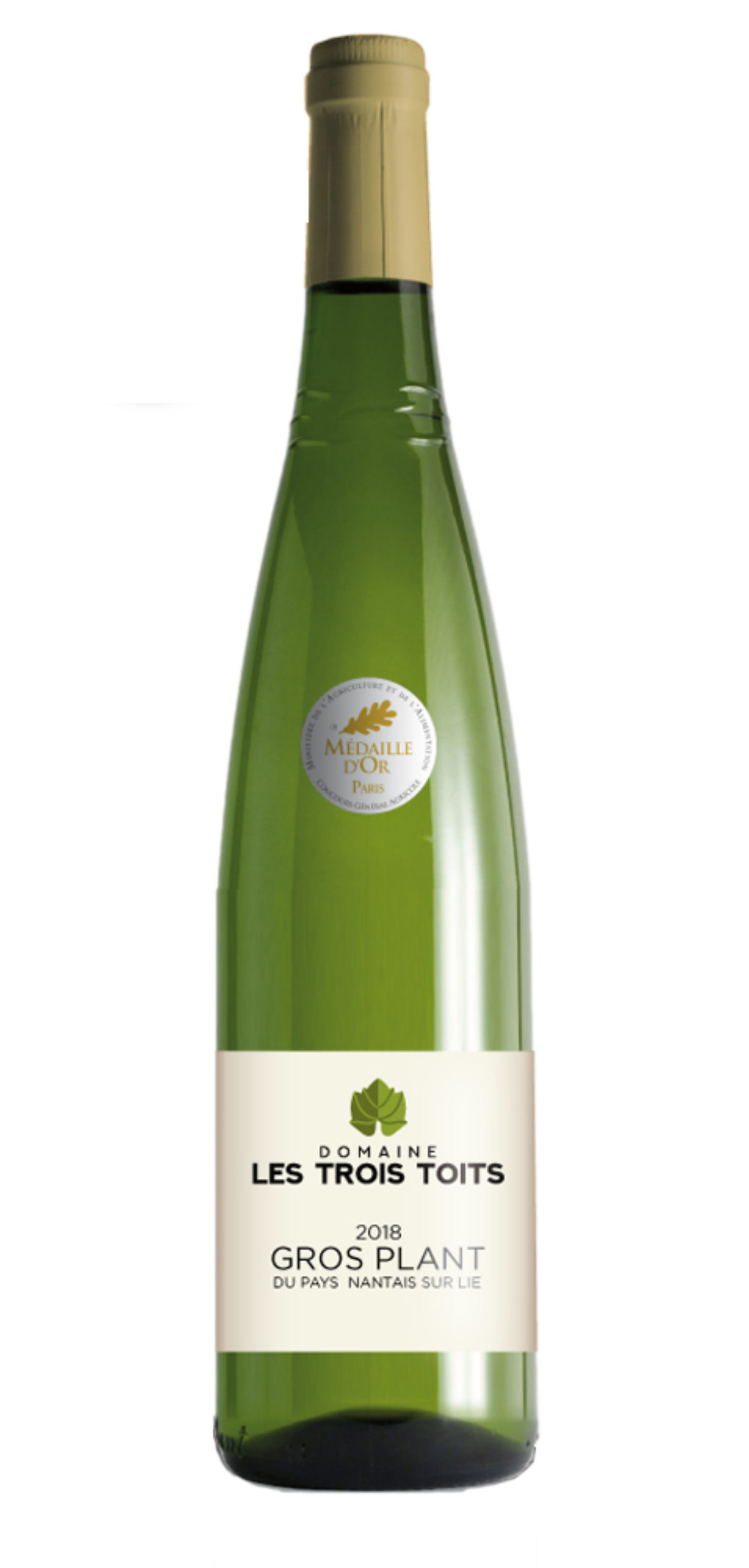 alternative olivenbaum winterhart SONDERPREIS: Olivenbaum Olive 160-180 cm dicker Stamm beste Qualität w –  Blumen-Senf® main image 1