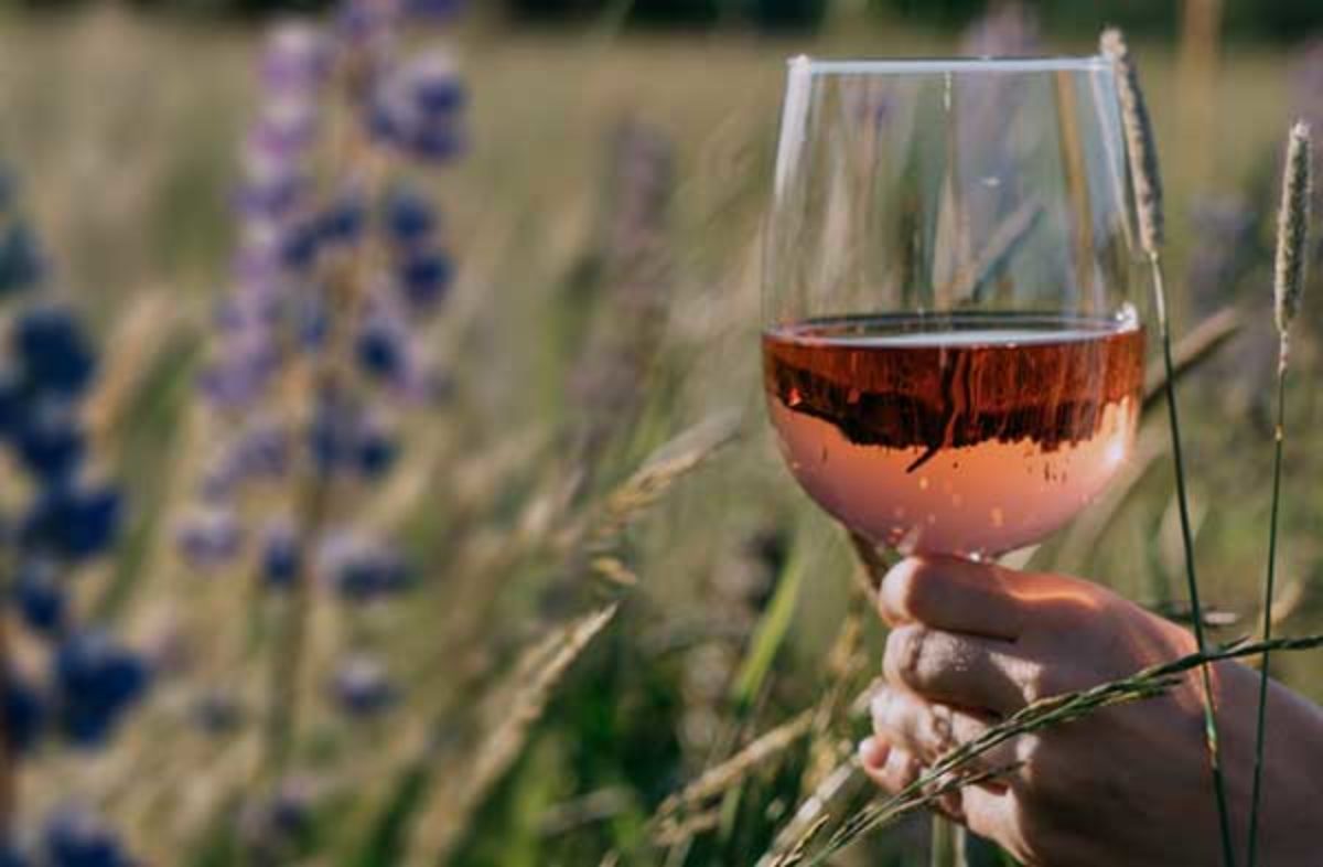 Conventional Wine vs Natural Wine: Why Sulphite-Free Is the Next Big Thing