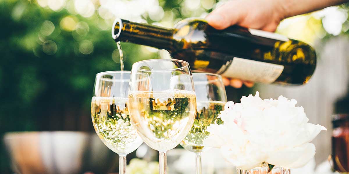 The Wine Company Northern Ireland Special Vineyard Wines